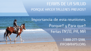 Ferias, talleres previos