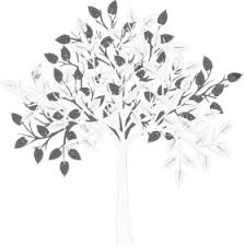 The Dennelisse LHCSA